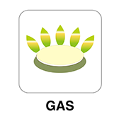 gas